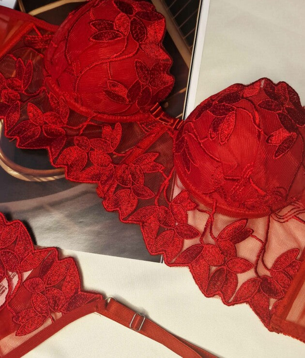 Conjunto Sensual em Tule Bordado – Wendy