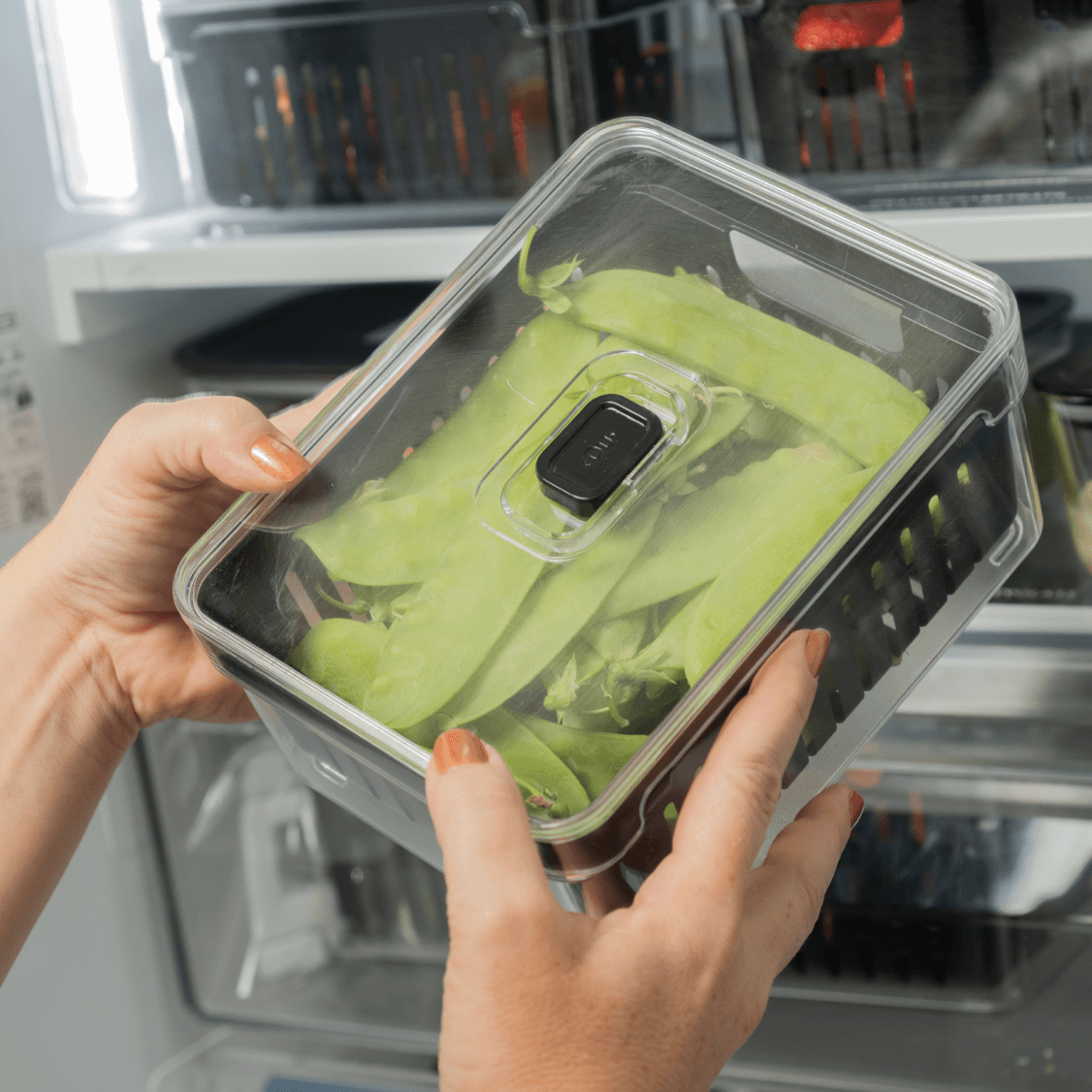 Organizador de geladeira com cesto Ou 2,2L Linha Clear Fresh